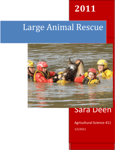 Large Animal Rescue