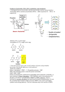 Synthesis of nucleotides - PBL-J-2015
