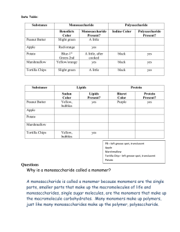 how worksheet chemical answers reactions happen Answers Test Macromolecules