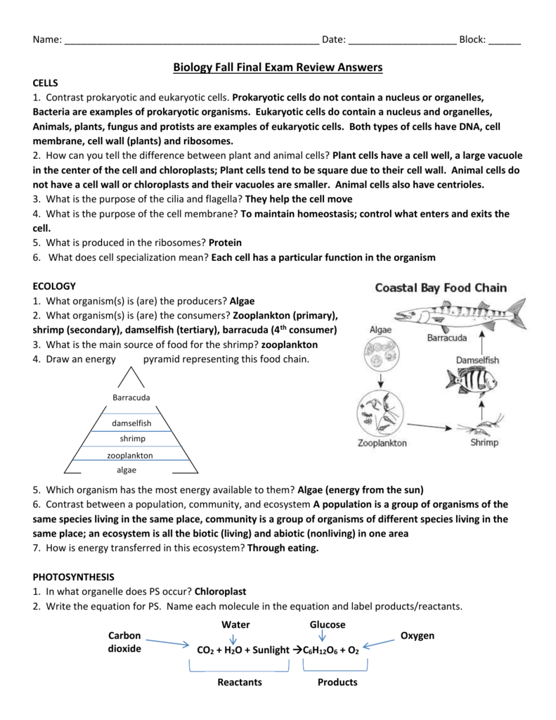 biology-fall-final-exam-review-answers