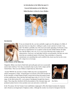 intro_to_shiba_part1.. - National Shiba Club of America