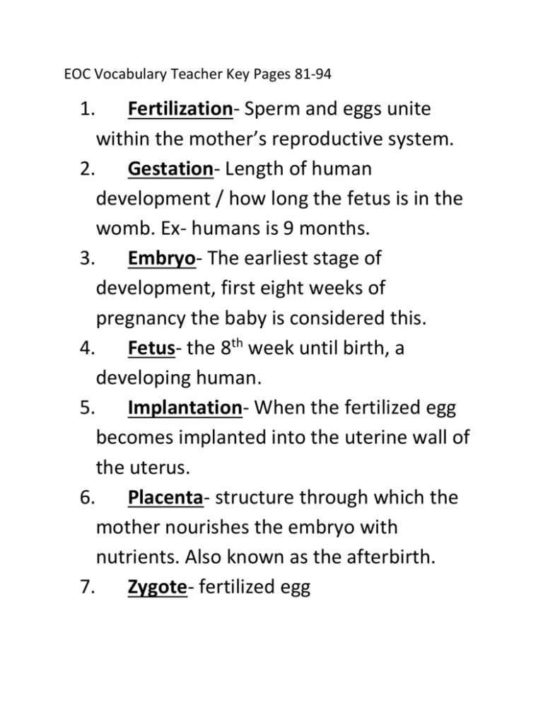 essay process of fertilization