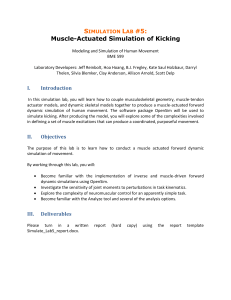 Muscle-Actuated Simulation of Kicking