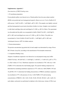 Supplementary Appendix 2 Determination of PBR28 binding status