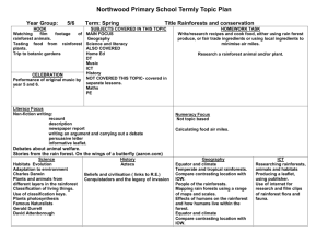 Termly_Planning_Sheet_rainforests