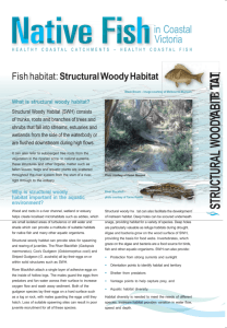 Structural woody habitat - Department of Environment, Land, Water