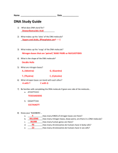 DNA Study Guide