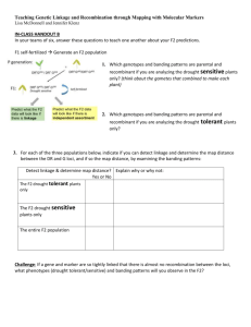 S3. Genetic Linkage-Handout B and Answers