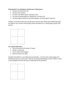 Punnett Square Examples (Notebook)