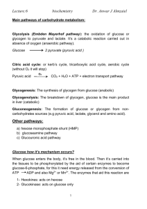 Glycolysis (Embden Mayerhof pathway