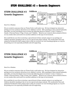 STEM CHALLENGE 3 student copies