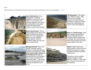 Intro to Coastal Defences Worksheet