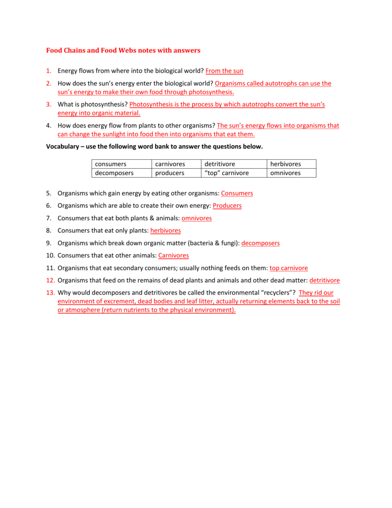 Ecological Pyramids notes with answers Within Ecological Pyramids Worksheet Answers