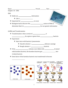 DNA Skeleton Notes