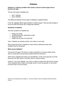 2300-B3.3 Diabetes information sheet