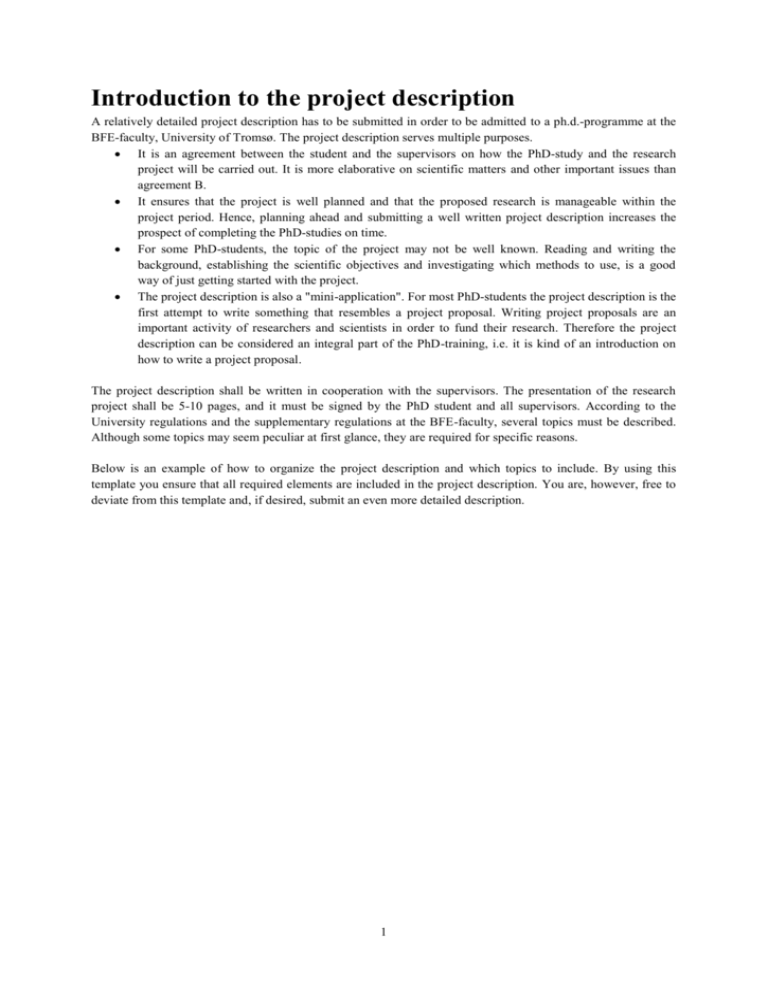 Project Description Template