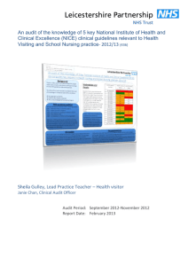 Clinical audit template report