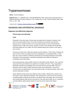 trypanosomoses_4_diagnosis