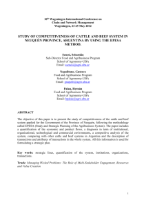 study of competitiveness of cattle and beef system in