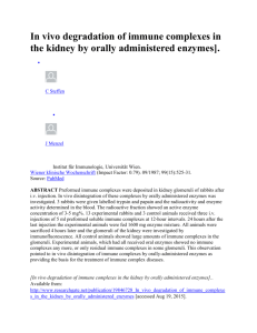 In vivo degradation of immune complexes in the kidney by orally
