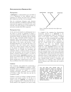 Phylogenetics Problem