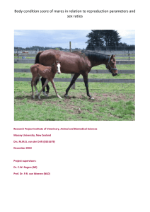 Body condition score of mares in relation to reproduction parameters