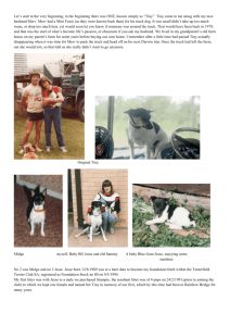 My lifes journey with Tenterfield Terriers