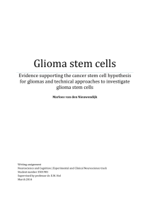Glioma stem cells