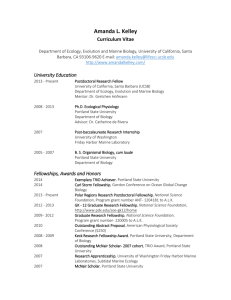 Curriculum Vitae