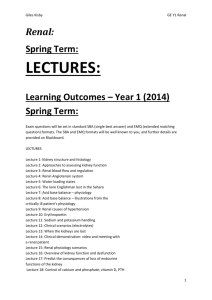 Renal notes BETA