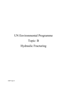UN Environmental Programme