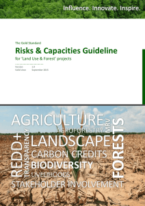 Risks & Capacities Template