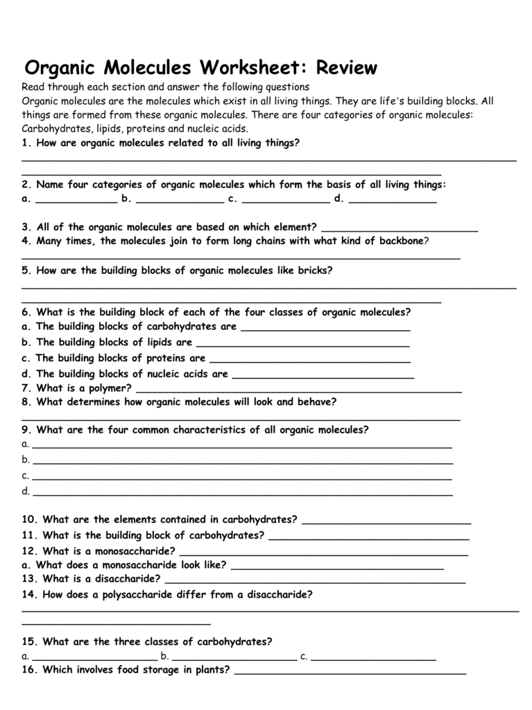 Organic Molecules Worksheet: Review