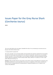 Issues Paper for the Grey Nurse Shark (Carcharias taurus)