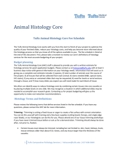 Tufts Animal Histology Core Fee Schedule