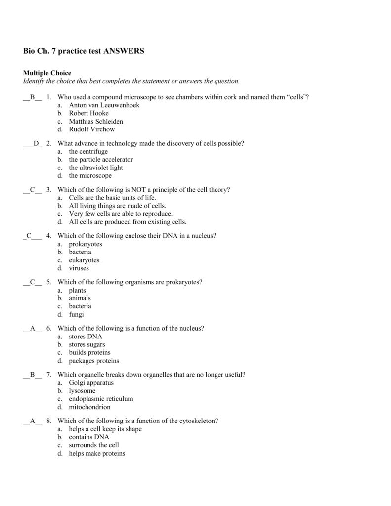 Bio Ch. 7 practice test ANSWERS