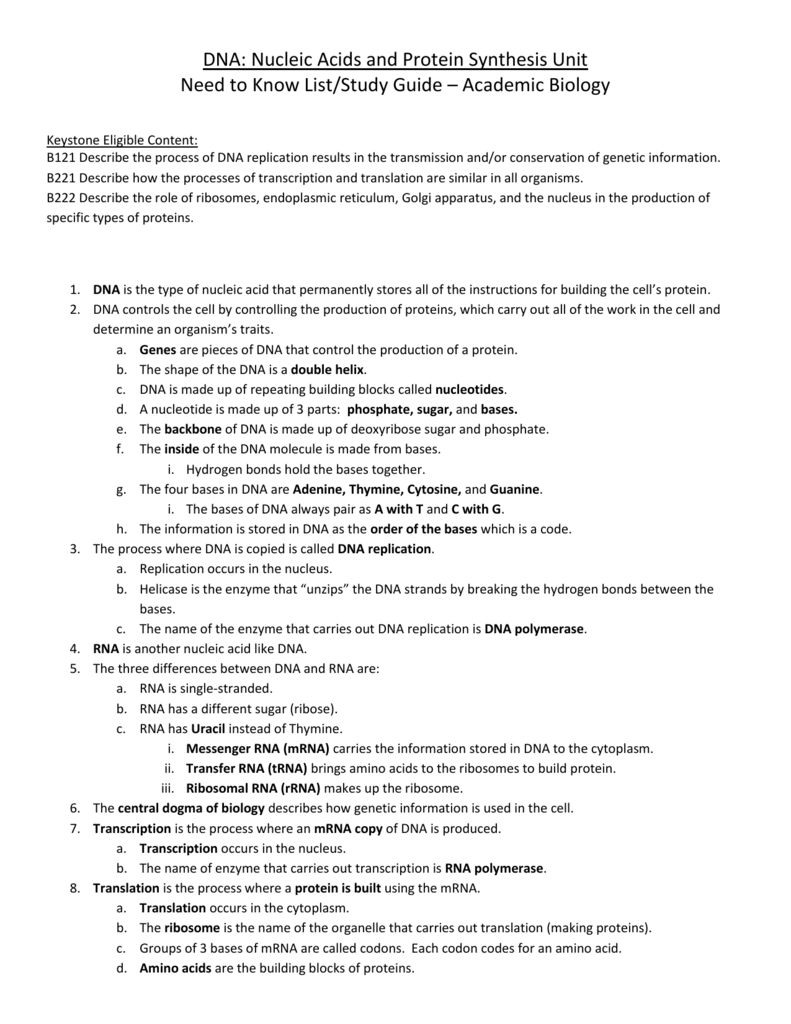 DNA: Nucleic Acids and Protein Synthesis Unit With Protein Synthesis Review Worksheet Answers