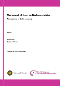 The Impact of Stress on Decision