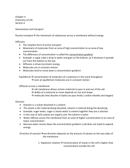 Cell Transport Skeleton Notes Chapter 4 Chemistry Of Life Section Homeostasis And Transport