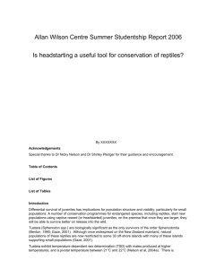 Allan Wilson Centre Summer Studentship