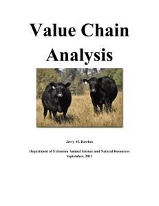 Value Chain Analysis - New Mexico Cattle Growers` Association