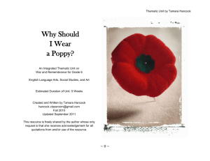 Why Should I Wear a Poppy - Thematic Unit - Community