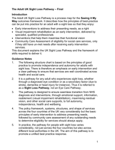 The Adult UK Sight Loss Pathway – Final