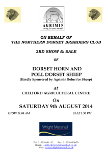 Aug 2014 - Northern Dorset Breeders Club