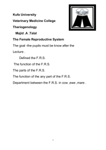 The Female Reproductive System2