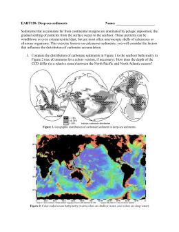 carbonate depth compensation calcium word