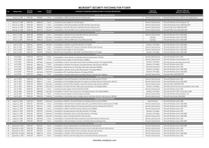 Microsoft Security Patch Summary for 2009