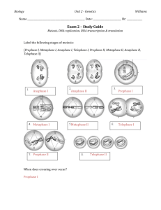 Exam 2 – Study Guide