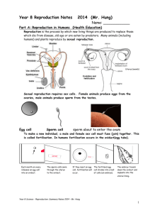 Section 4- Microscopes, Cells and Reproduction: Summary Sheets