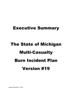 Burn Incident Plan 2013 - Executive Summary